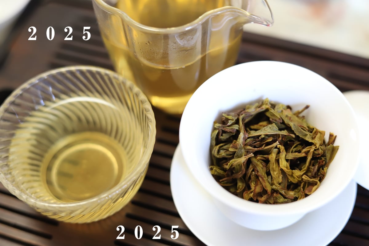 慧苑坑老樹白鶏冠 2025 | 武夷岩茶 茶の穂