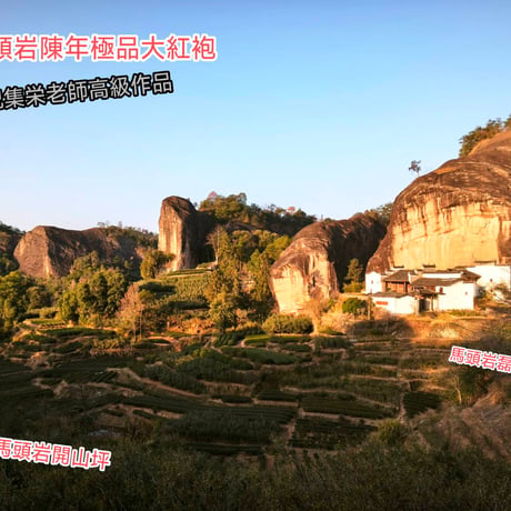 馬頭岩陳年大紅袍