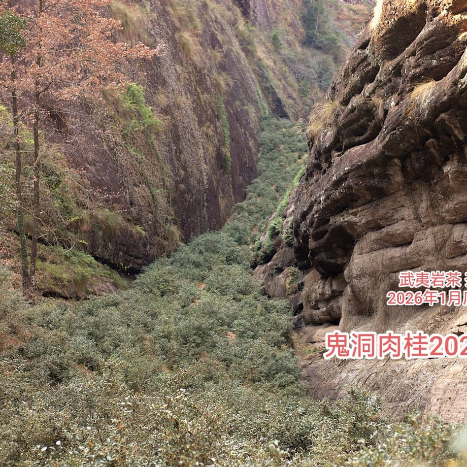 66cc2006ccd49a056d4a2119