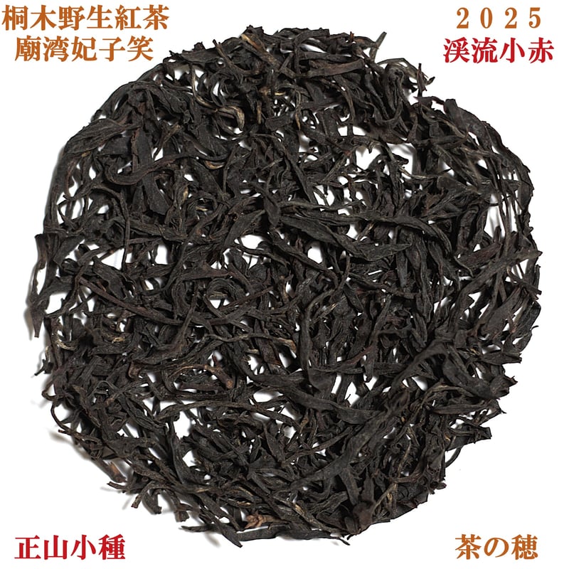 桐木野生紅茶 渓流小赤 2025 | 武夷岩茶 茶の穂