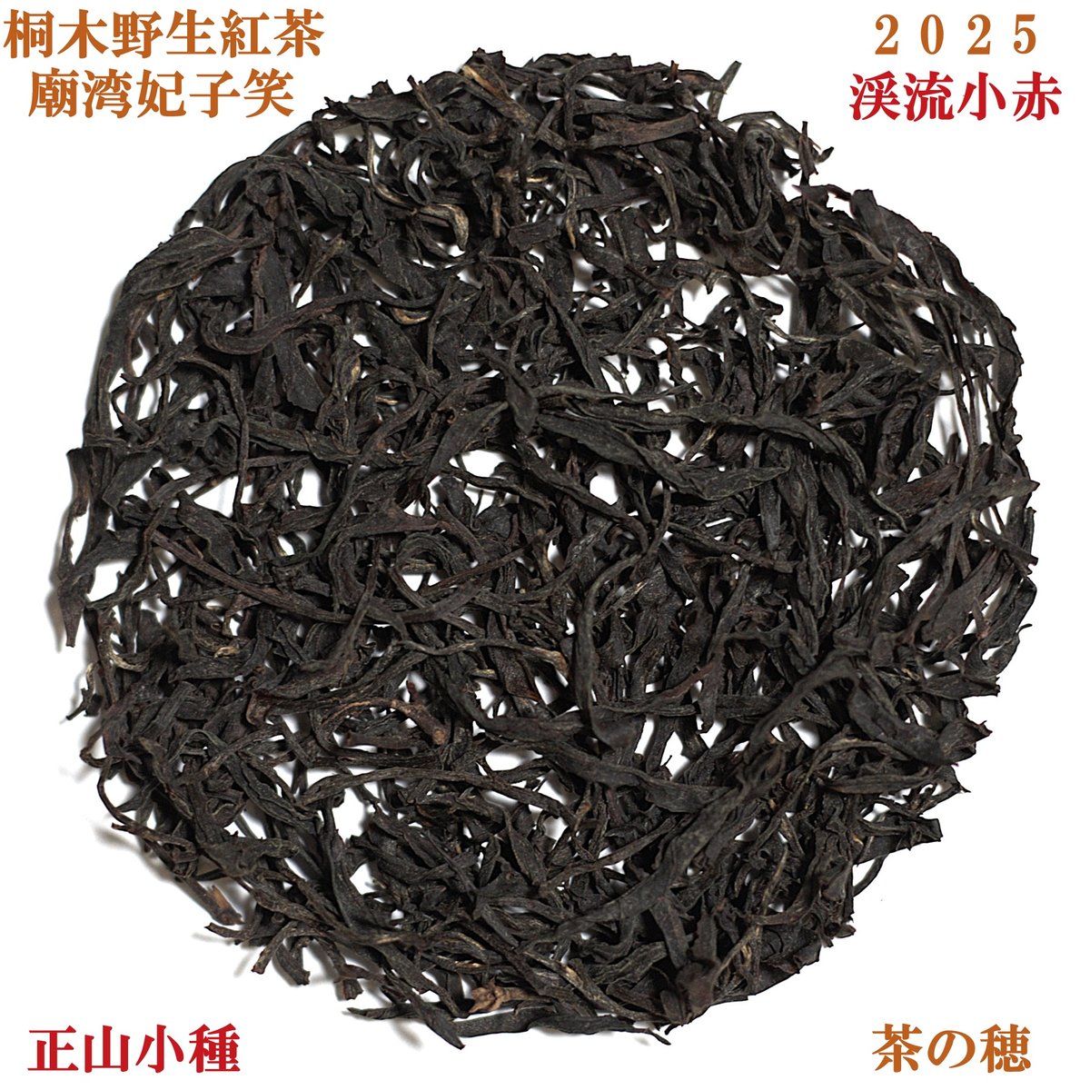 桐木野生紅茶 渓流小赤 2025 | 武夷岩茶 茶の穂