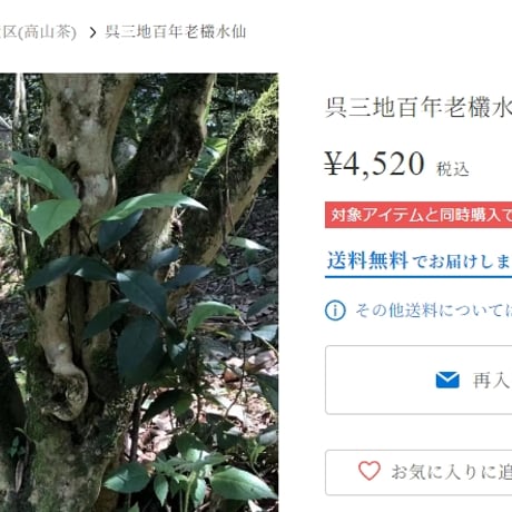 呉三地百年老欉水仙 2024