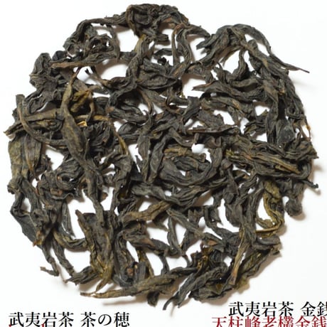 天柱峰老欉金銭 珍品
