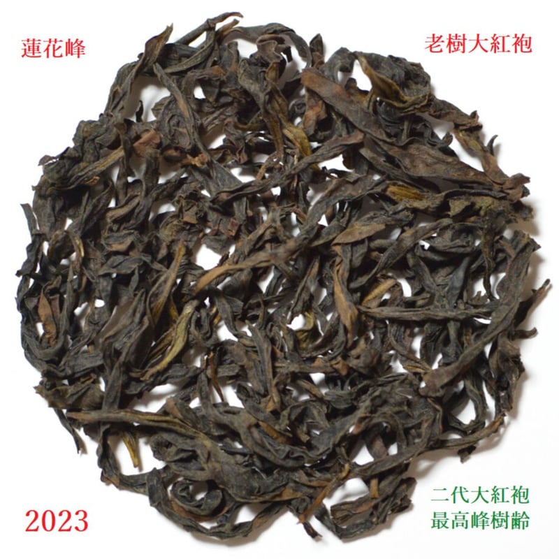 蓮花峰老樹大紅袍 2024 | 武夷岩茶 茶の穂