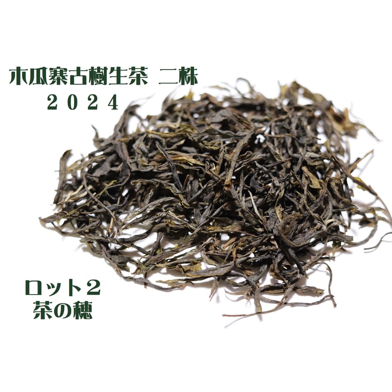 木瓜寨古樹生茶 二株 2024 散茶 武夷岩茶 茶の穂