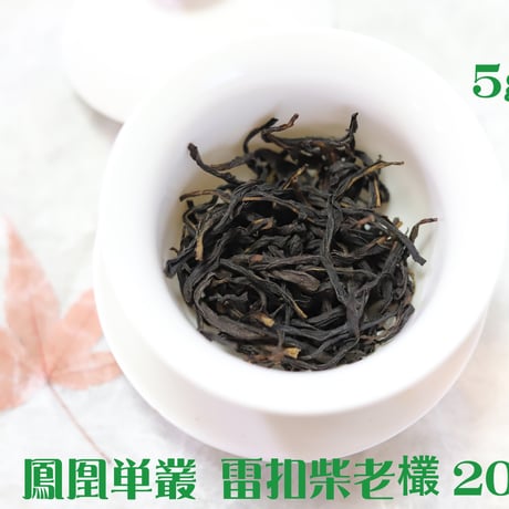 鳳凰単叢 雷扣柴老欉 2024