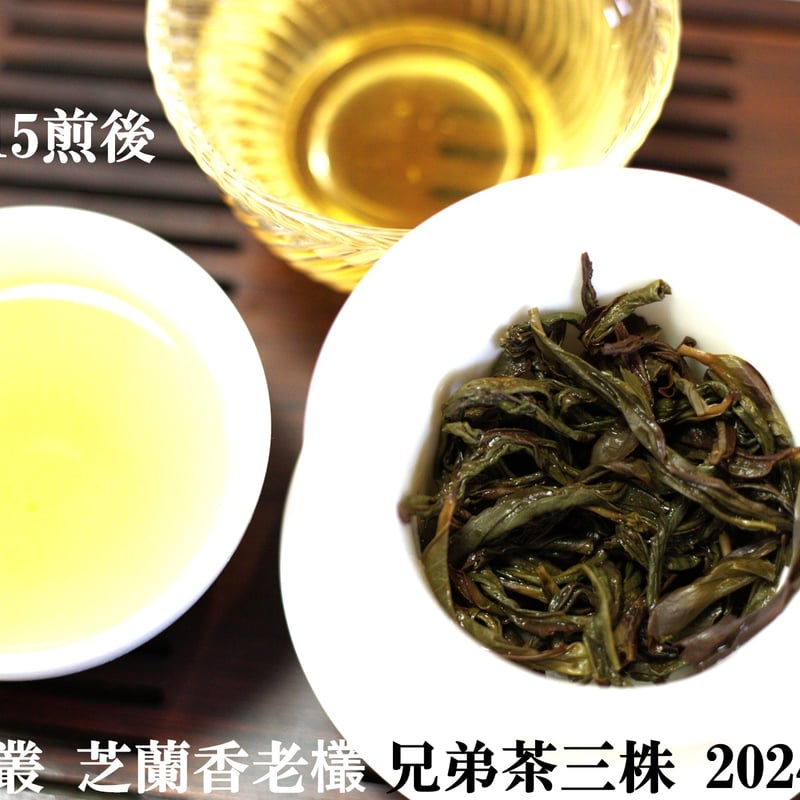 鳳凰単叢 芝蘭香老欉 兄弟茶三株 2024 | 武夷岩茶 茶の穂