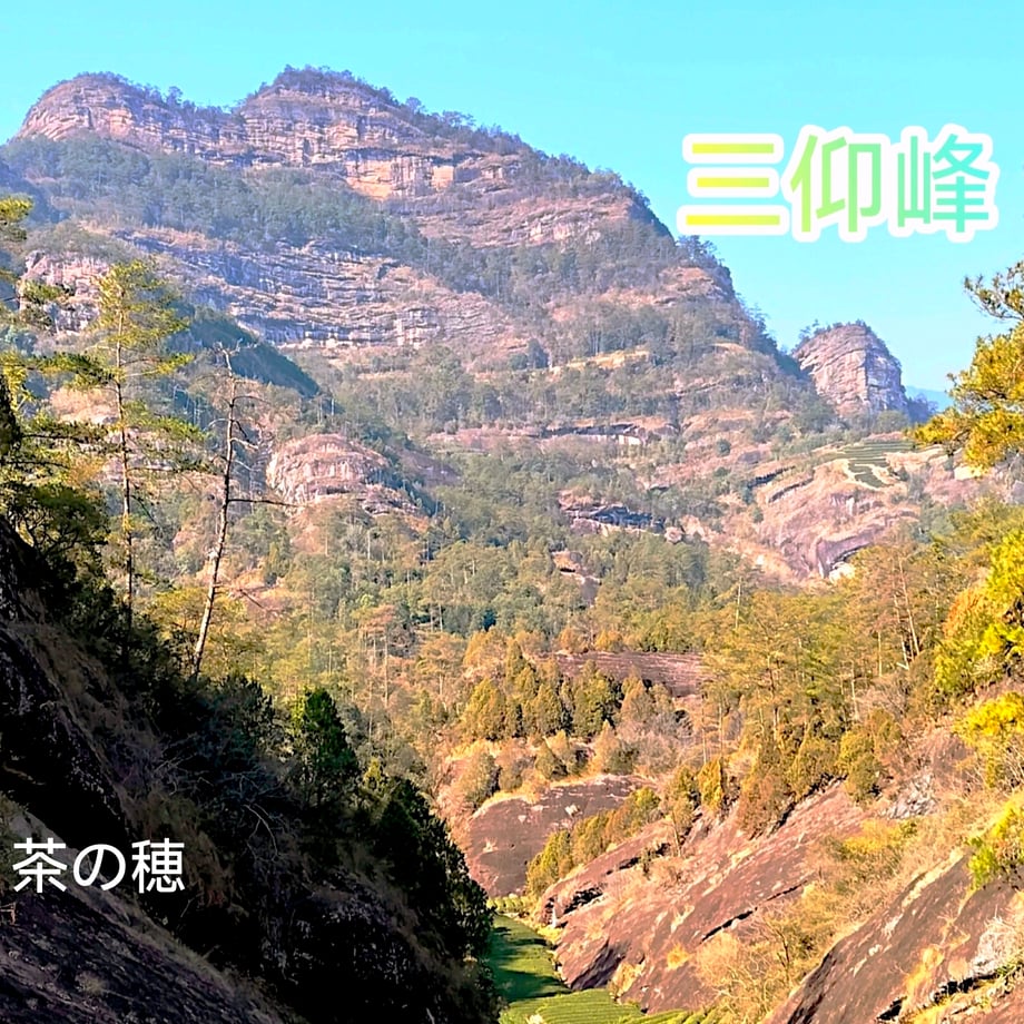 64db748624c2f4002e880748