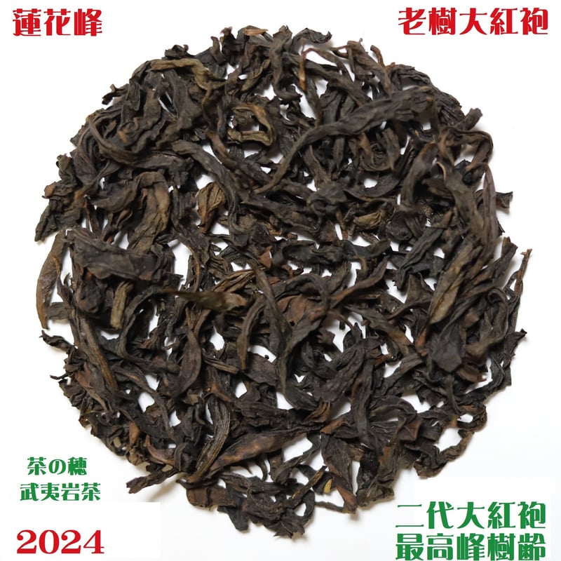 蓮花峰老樹大紅袍 | 武夷岩茶 茶の穂