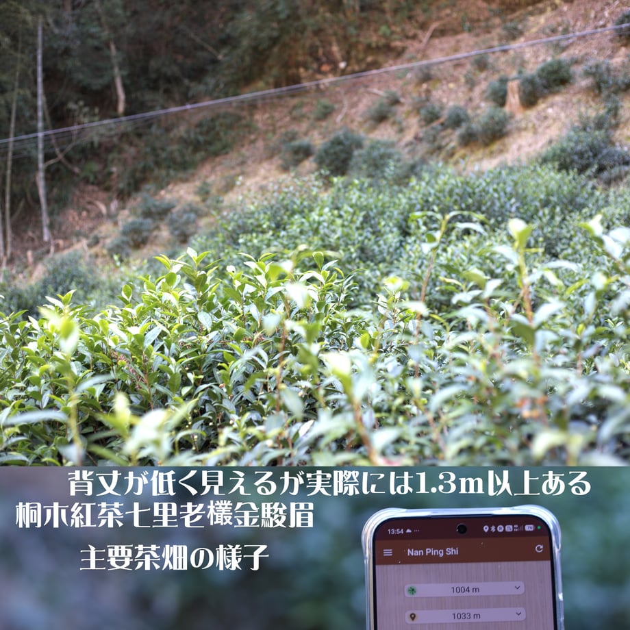 67c999302b412da760525bbc