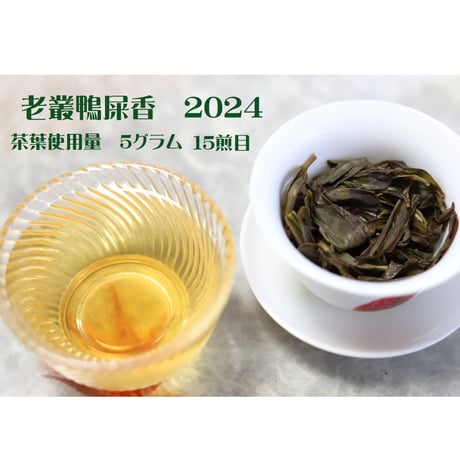 鳳凰単叢 鴨尿香老欉清香 2024 坪坑頭