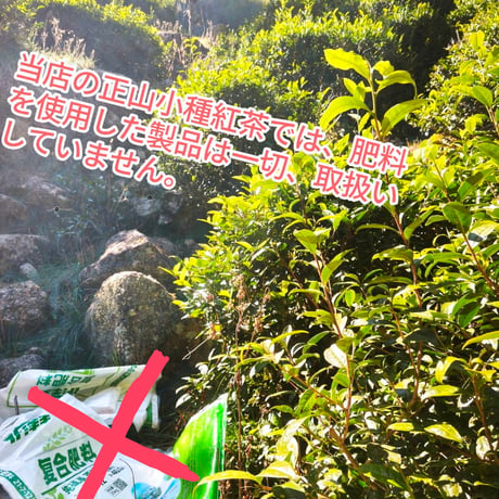 桐木野生紅茶 妃子笑 Premium 2025＆2026