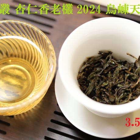 鳳凰単叢 杏仁香老欉 2024 烏崠天池