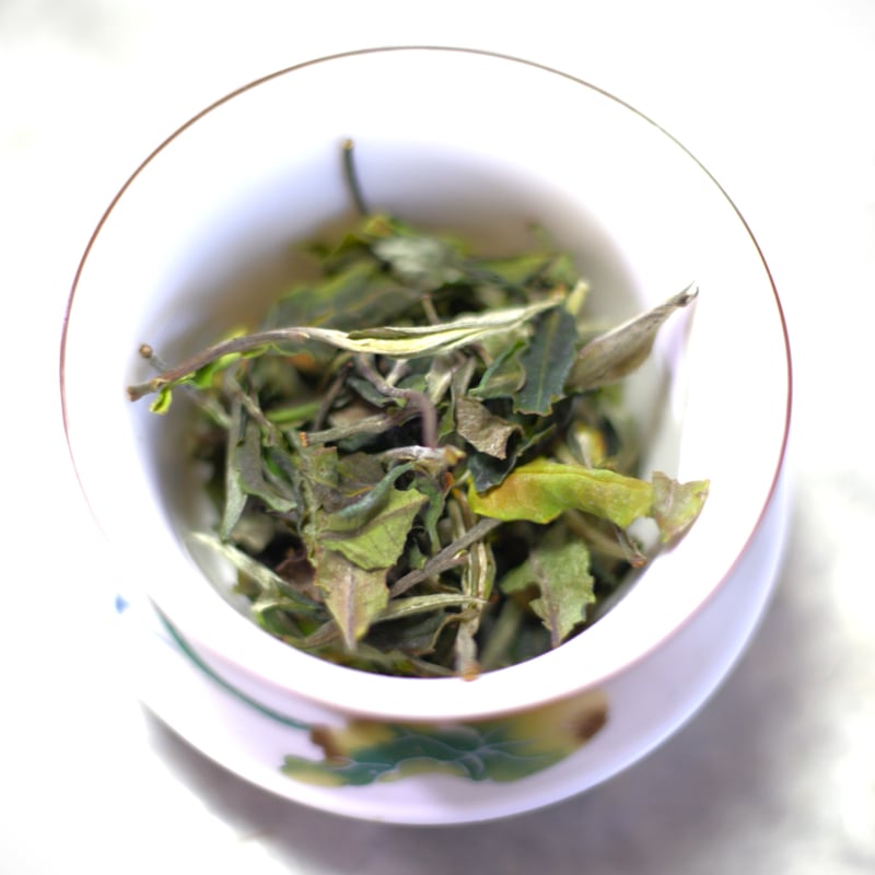 木瓜寨古樹白茶 2025 単一茶園限定 | 武夷岩茶 茶の穂