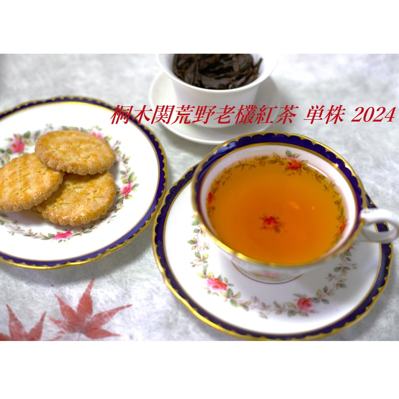桐木関荒野老欉紅茶 単株 2024 | 武夷岩茶 茶の穂