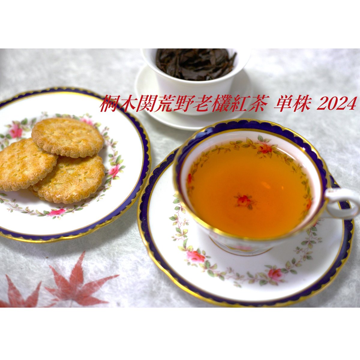 桐木関荒野老欉紅茶 単株 2024 | 武夷岩茶 茶の穂