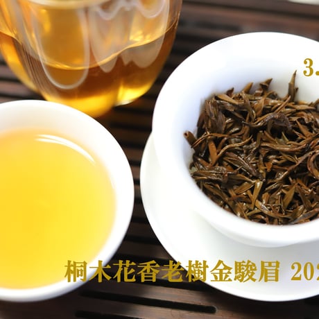 桐木花香老樹金駿眉