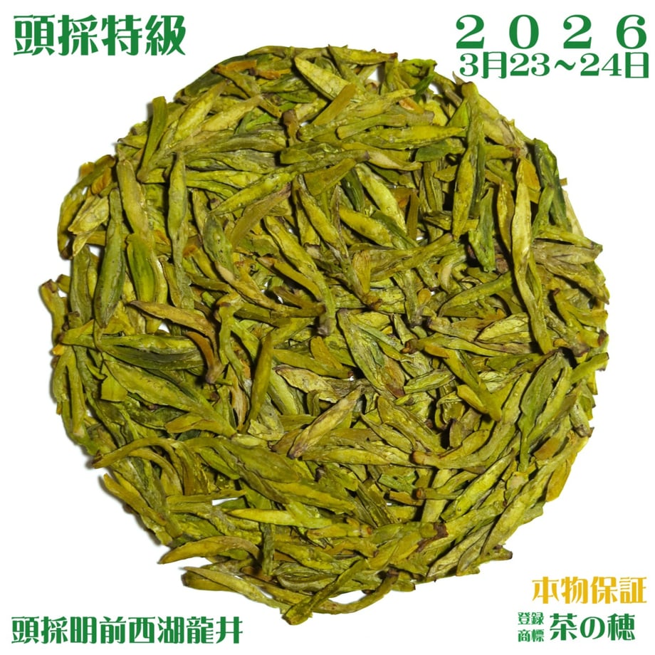 6610c80fab0a1222fe288bee