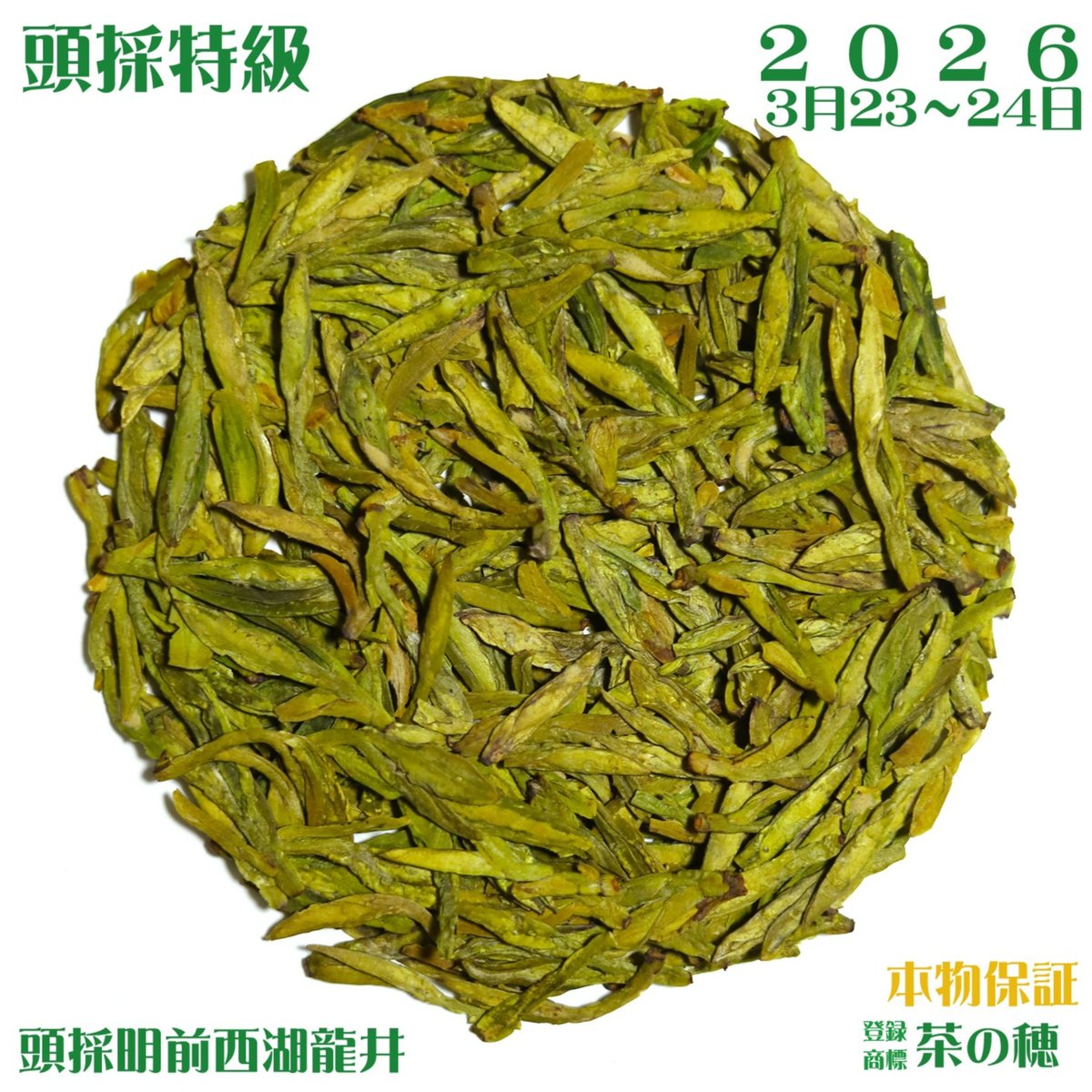 龍井茶/明前西湖龍井 2026 | 武夷岩茶 茶の穂