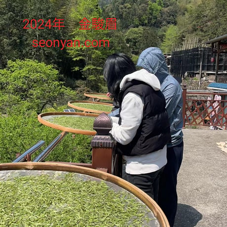 桐木単芽野生紅茶金駿眉(2024)