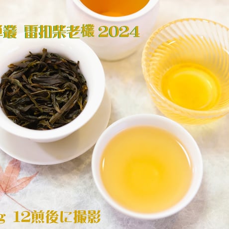 鳳凰単叢 雷扣柴老欉 2024