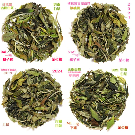 核桃箐古樹白茶 2024　単一茶園限定