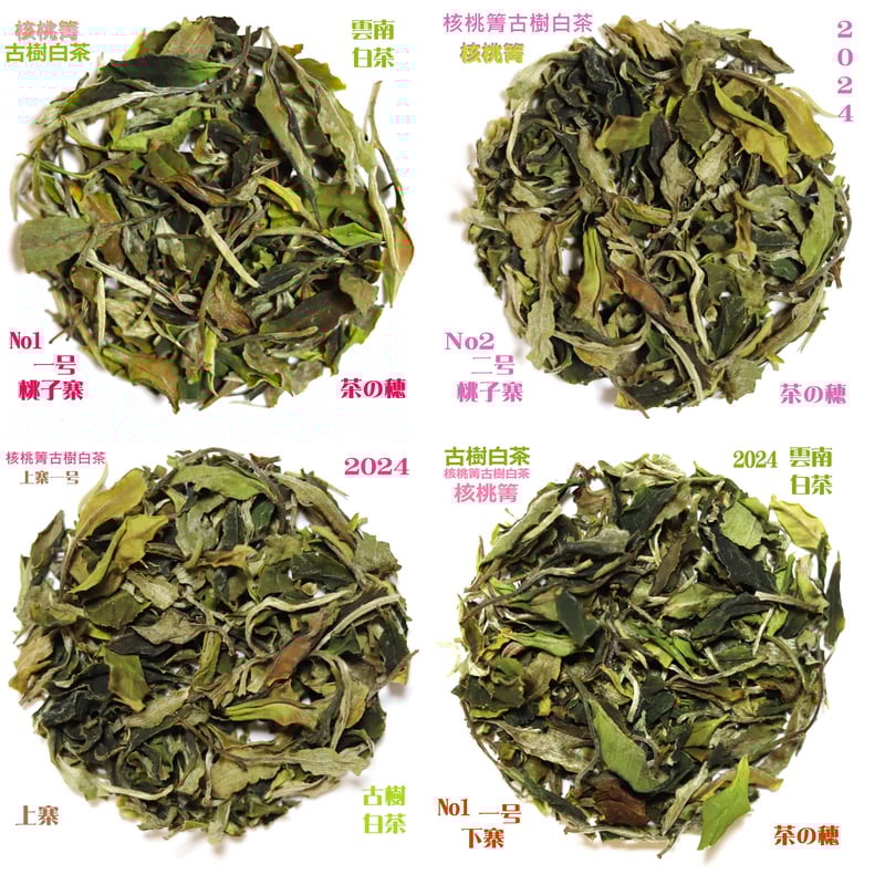 核桃箐古樹白茶 2024 単一茶園限定 | 武夷岩茶 茶の穂