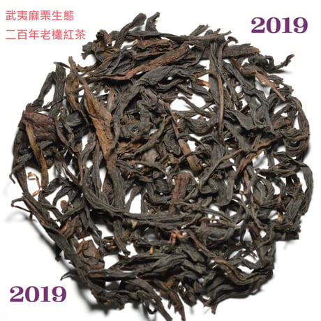 武夷麻栗二百年生態老欉紅茶