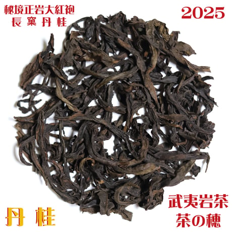 秘境正岩大紅袍 長窠丹桂 2025