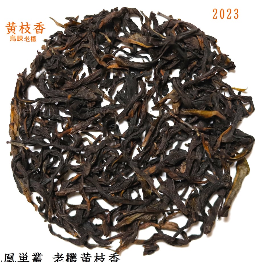 65ff913223e1904e697daacd