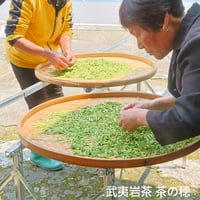 桐木野生紅茶金駿眉2026 予約販売