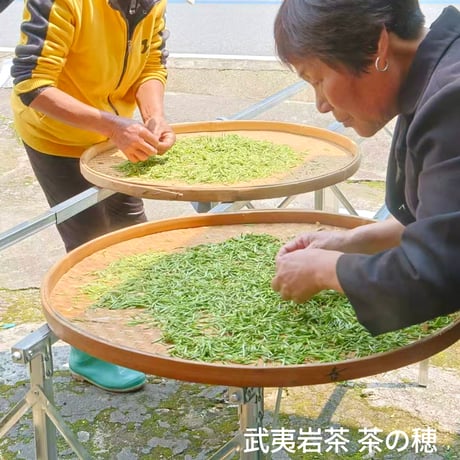 桐木野生紅茶金駿眉2026 予約販売