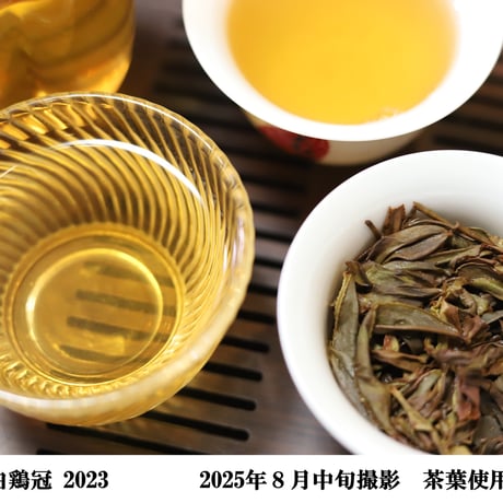 悟源澗白鶏冠 2023