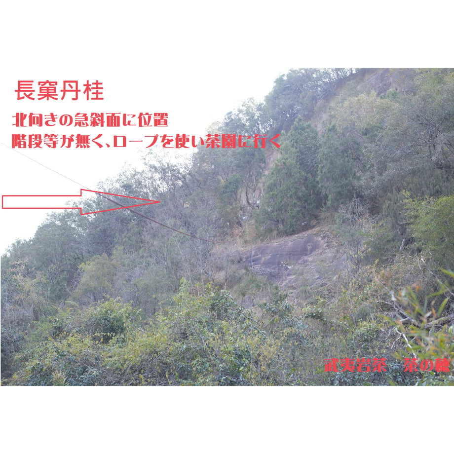 66ab041a5b90ec0cb7047dcc