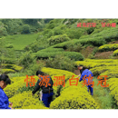 657da82045c7bd15fa83f03c