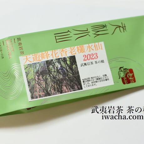 天遊峰老欉水仙(2023) 数量限定復活販売