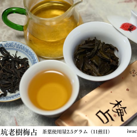 慧苑坑老欉梅占 2023