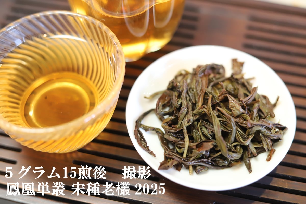 鳳凰単叢 宋種老欉 2025 | 武夷岩茶 茶の穂