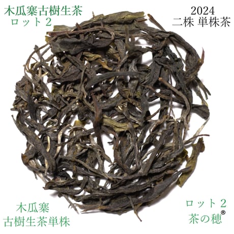 木瓜寨古樹生茶 二株 2024 散茶
