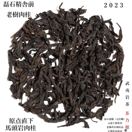 馬頭磊石精舎前老樹肉桂