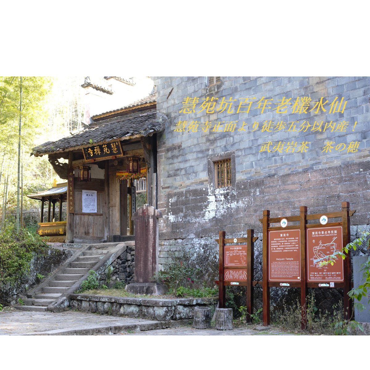 慧苑坑百年老欉水仙 (24年度)売上総合一位 | 武夷岩茶 茶の穂 慧苑坑百年老欉水仙 (24年度)売上総合一位 | 武夷岩茶 茶の穂