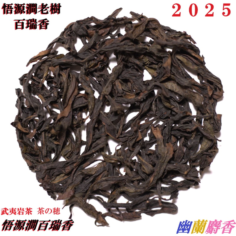 悟源澗老樹百瑞香 2025 | 武夷岩茶 茶の穂