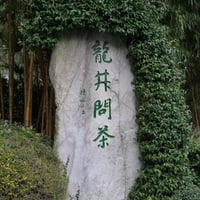 獅峰龍井茶/西湖龍井 2026