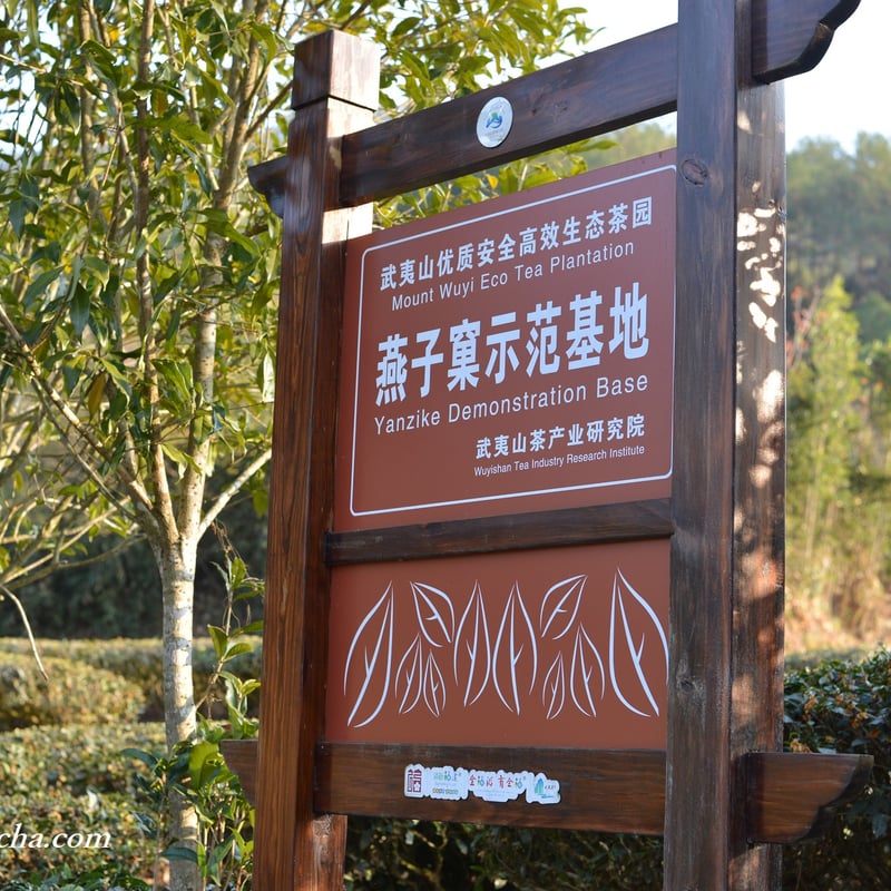 最高級中国茶【特級燕子窠肉桂岩茶果香肉桂（烏龍茶）】新品未開封賞味期限2027年 最高級中国茶【特級燕子窠肉桂岩茶果香肉桂（烏龍茶）】新品未