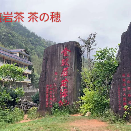 桐木単芽野生紅茶金駿眉(2024)