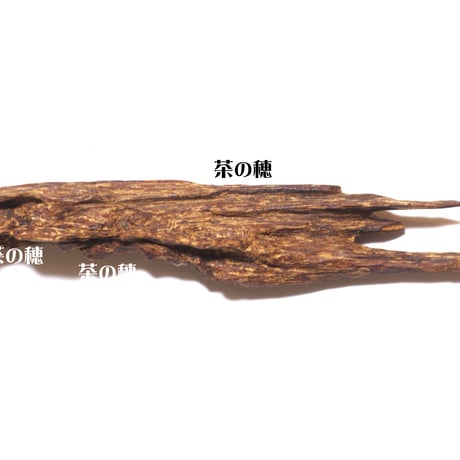 伽羅小木 各種