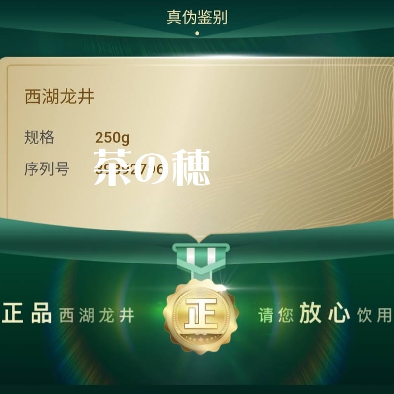 獅峰龍井茶/頭採明前西湖龍井 2025 天賜珍品 | 武夷岩茶 茶の穂