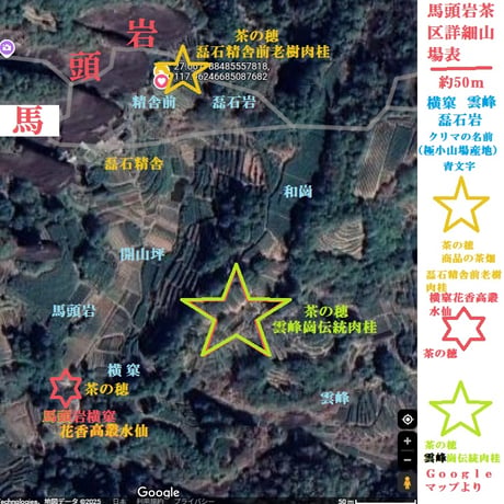 馬頭岩横窠高欉水仙 2024