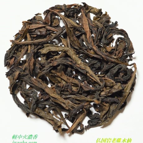 仏国岩花香老叢水仙