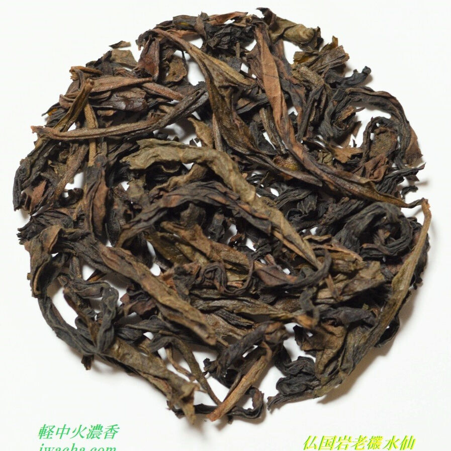 岩花香 fit=scale-down,w=1200